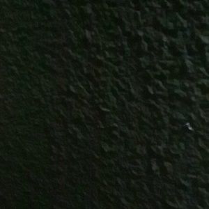 Meet your Posher, Nickie